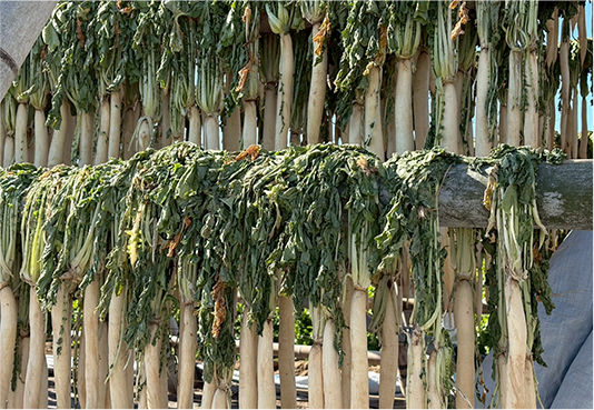 福岡博多名物手づくり漬物　ははごころ あまじょっぱ漬物