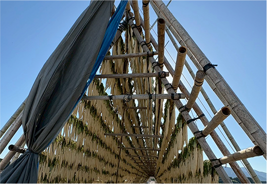 福岡博多名物手づくり漬物　ははごころ あまじょっぱ漬物