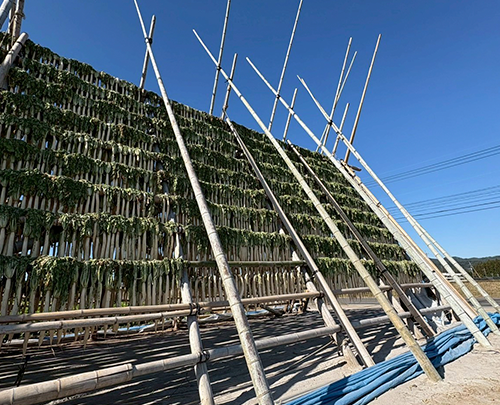 一度食べたら忘れられない、母から受け継いだ「あまじょっぱ」