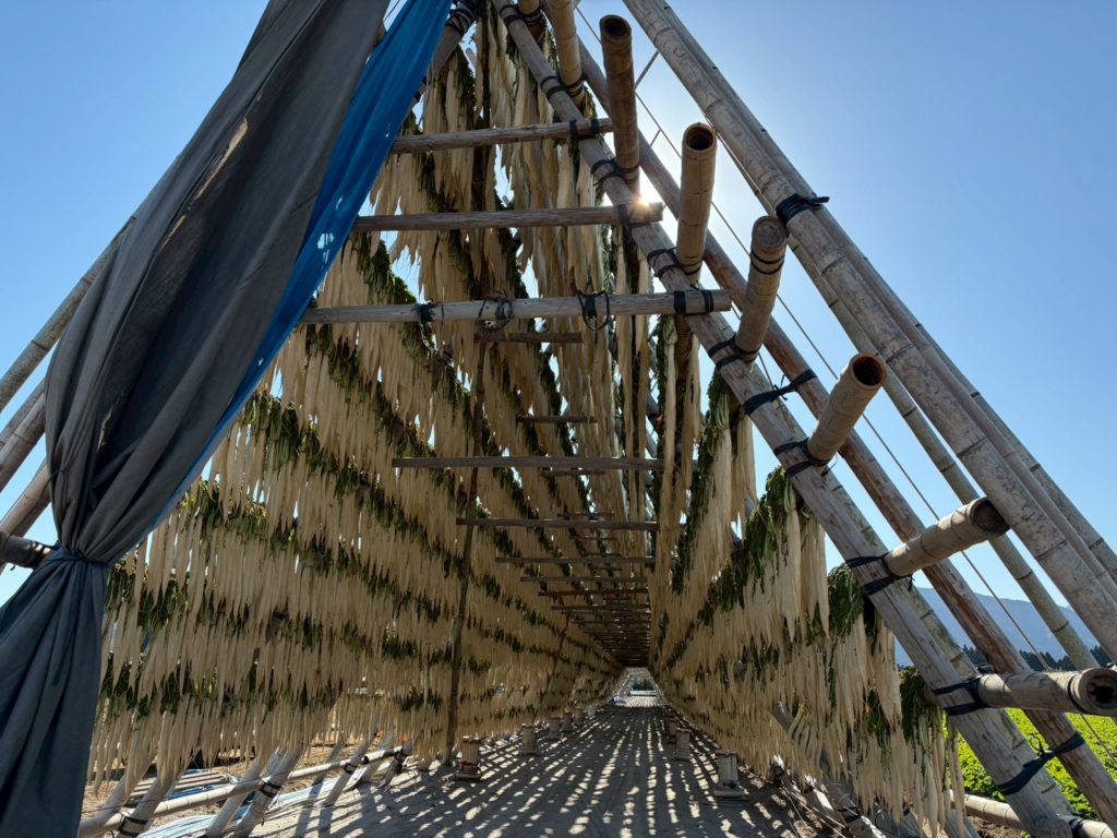 hahagocoro Noir プレミアム